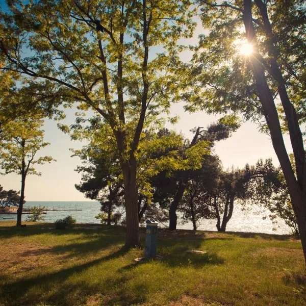campingin-pineta-umag-savudrija-3uaqn