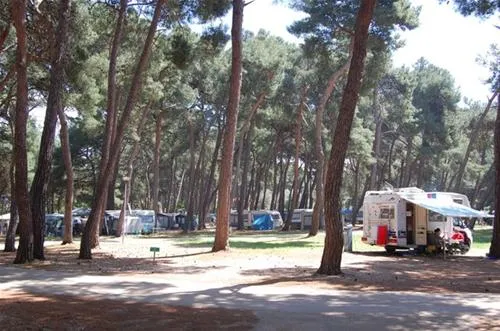 campingin-pineta-umag-savudrija-4cfwm