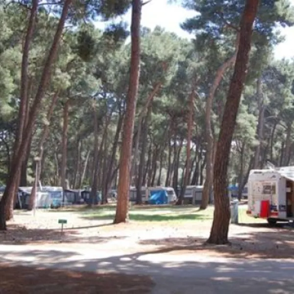 campingin-pineta-umag-savudrija-4cfwm