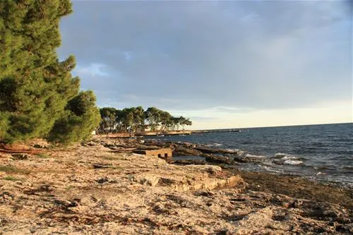 campingin-pineta-umag-savudrija-6fvqd