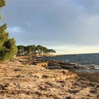 campingin-pineta-umag-savudrija-6fvqd