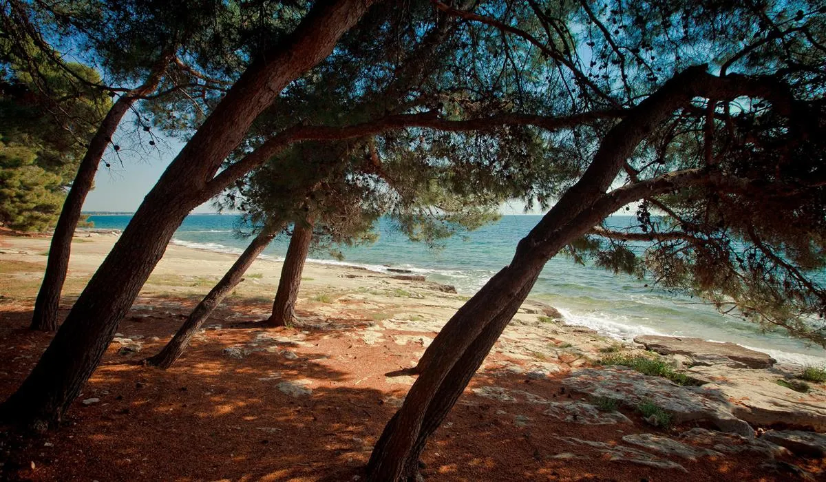 campingin-pineta-umag-savudrija-70o4b