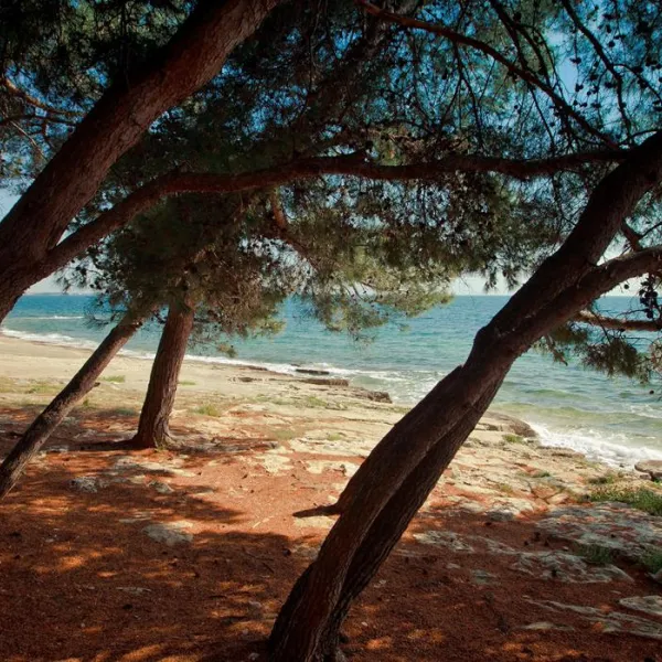 campingin-pineta-umag-savudrija-70o4b