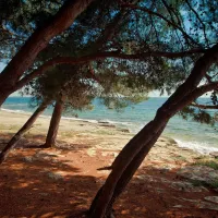 campingin-pineta-umag-savudrija-70o4b