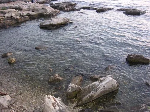campingin-pineta-umag-savudrija-dsksp
