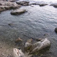 campingin-pineta-umag-savudrija-dsksp