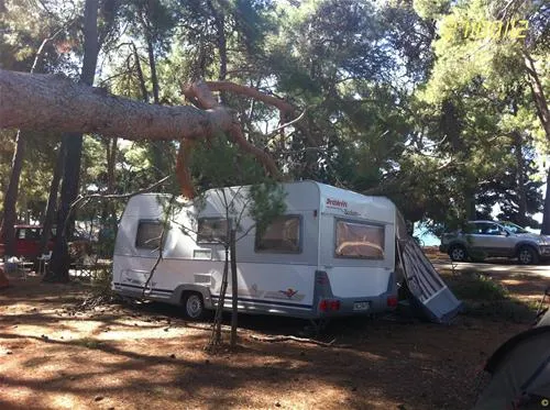 campingin-pineta-umag-savudrija-g1zez