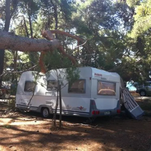 campingin-pineta-umag-savudrija-g1zez