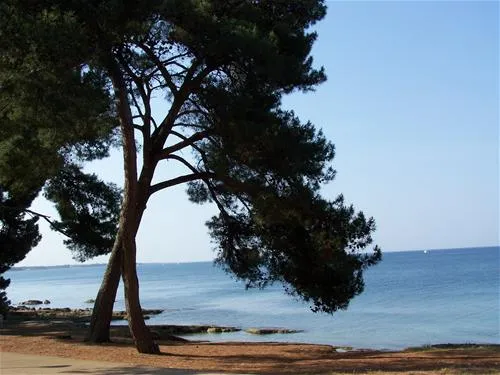 campingin-pineta-umag-savudrija-g3ix6
