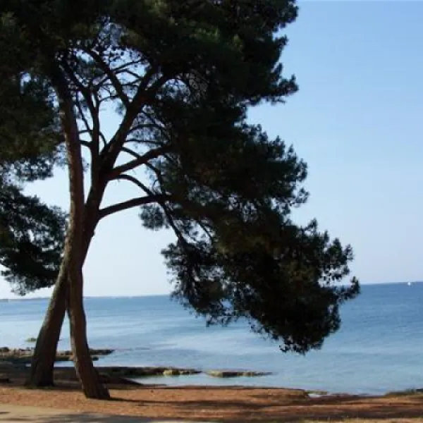 campingin-pineta-umag-savudrija-g3ix6