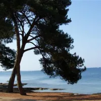 campingin-pineta-umag-savudrija-g3ix6
