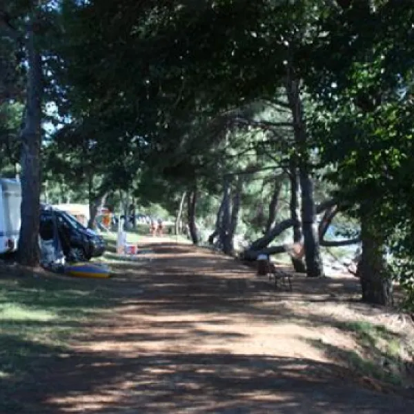 campingin-pineta-umag-savudrija-kgo2i