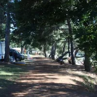 campingin-pineta-umag-savudrija-kgo2i