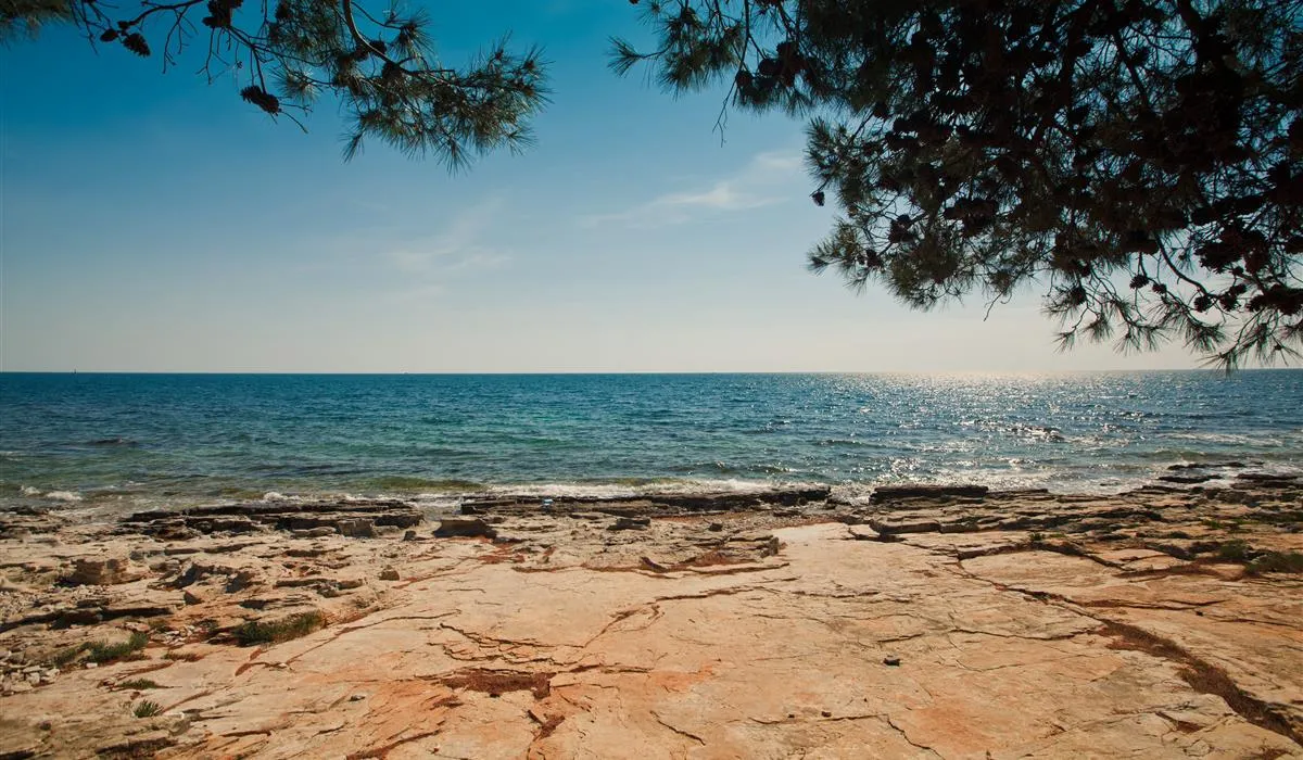 campingin-pineta-umag-savudrija-mmmga