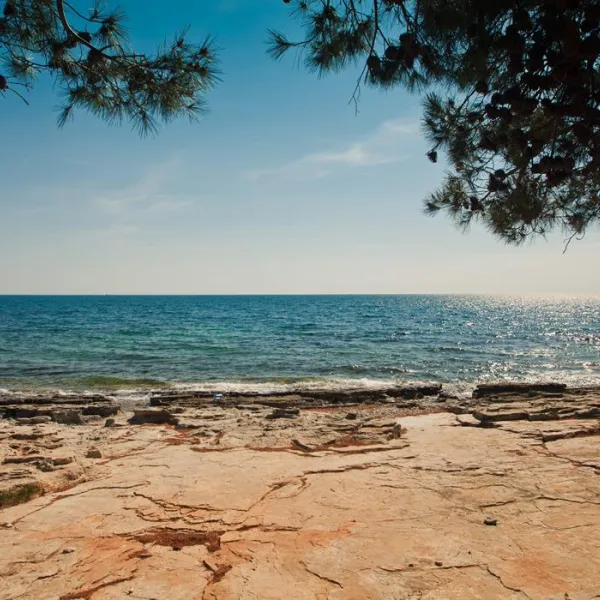 campingin-pineta-umag-savudrija-mmmga