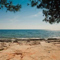 campingin-pineta-umag-savudrija-mmmga