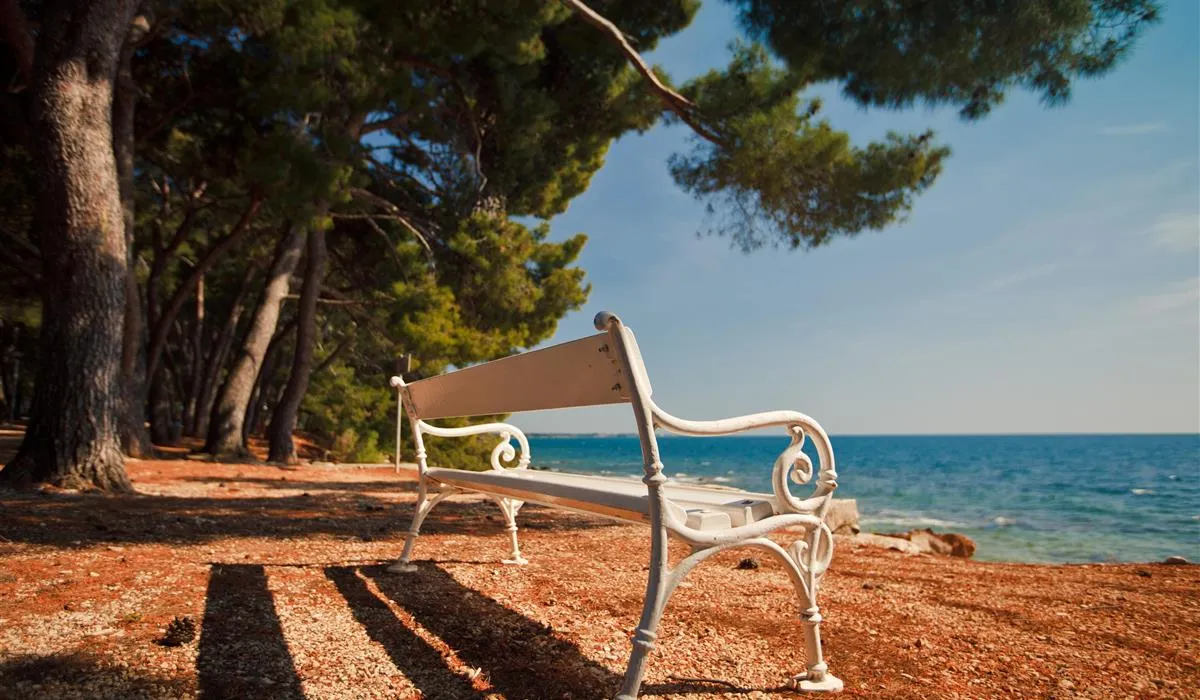 campingin-pineta-umag-savudrija-ogwok
