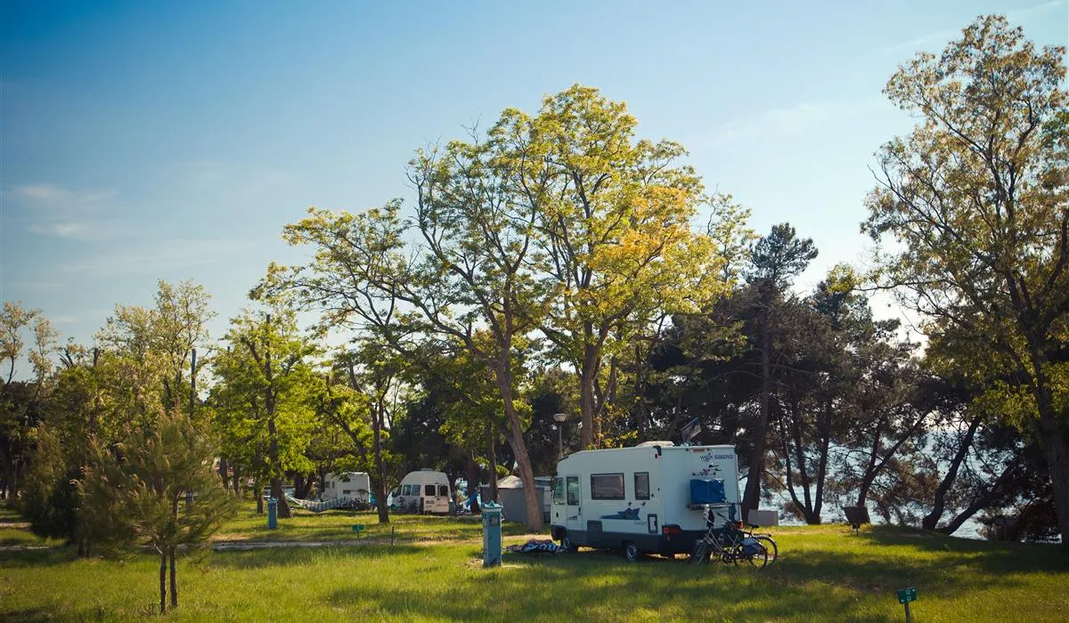 campingin-pineta-umag-savudrija-qinpi