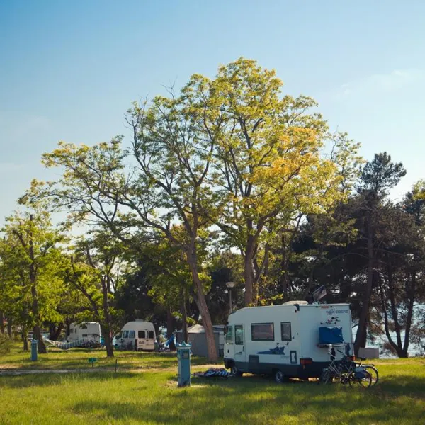campingin-pineta-umag-savudrija-qinpi