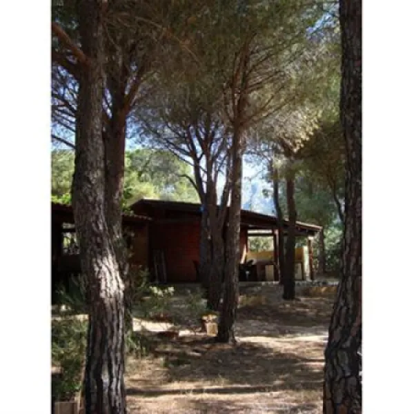 sardinia-camping-cala-gonone-cala-gonone-d9guu