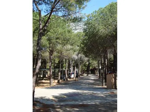 sardinia-camping-cala-gonone-cala-gonone-jtuw2