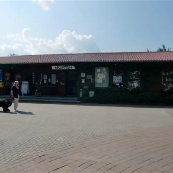 camping-am-freesenbruch-zingst-3bdbn