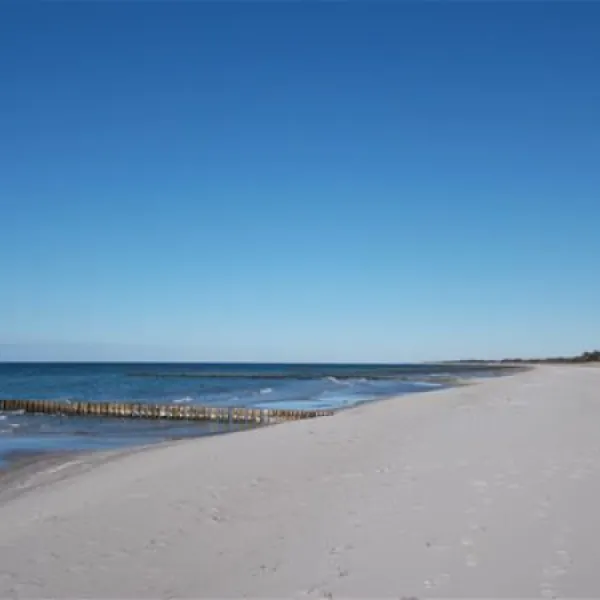 camping-am-freesenbruch-zingst-ufjhh