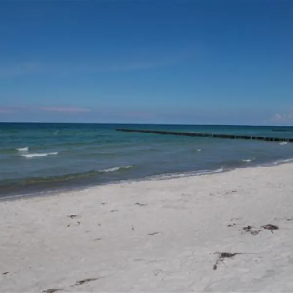camping-am-freesenbruch-zingst-wvqc3