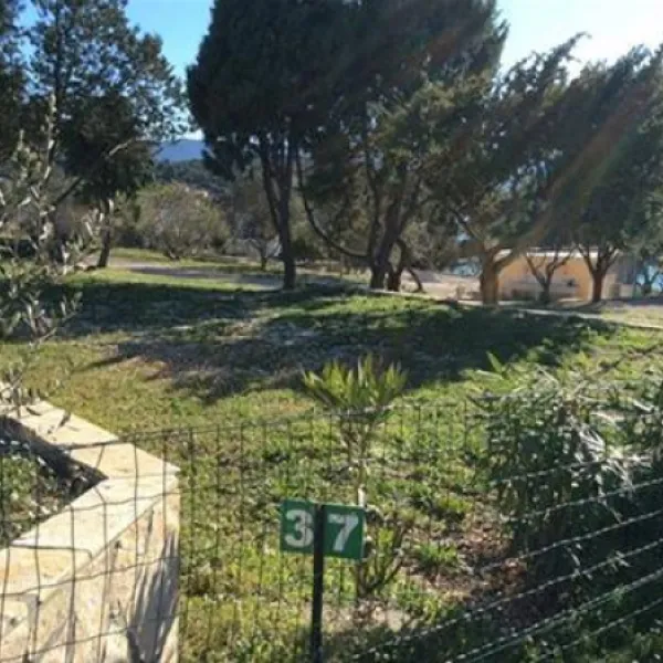 camp-lupis-loviste-3yx7x