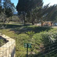 camp-lupis-loviste-3yx7x