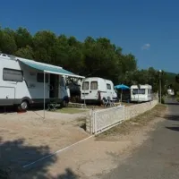 camp-lupis-loviste-mcjjh