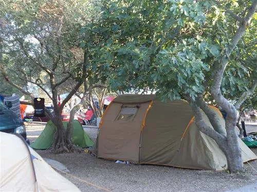camp-lupis-loviste-nkj36