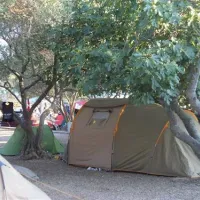 camp-lupis-loviste-nkj36