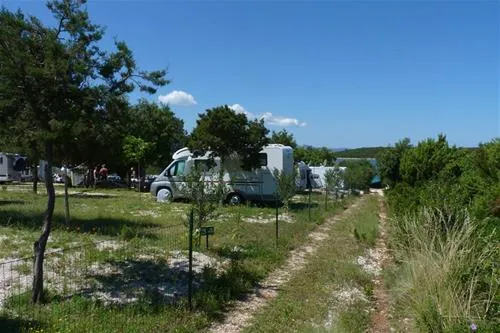 camp-lupis-loviste-z8jjs