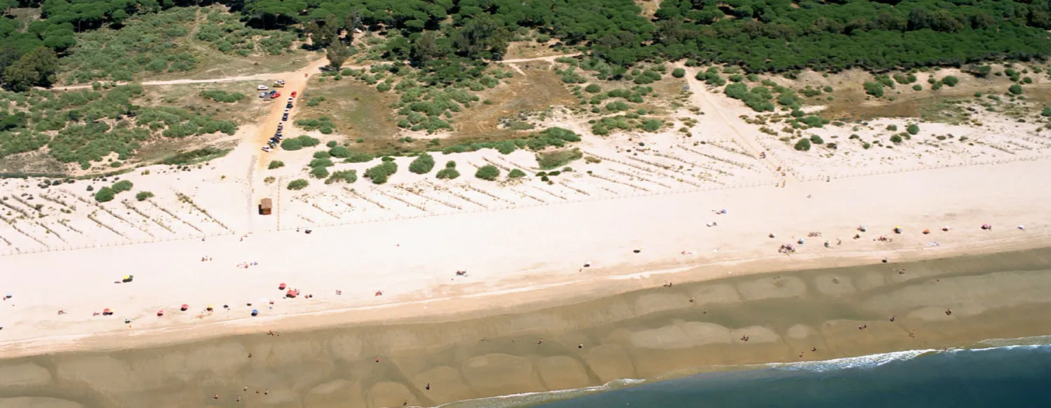 camping-playa-taray-isla-cristina-xtwbg