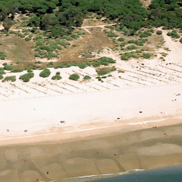 camping-playa-taray-isla-cristina-xtwbg