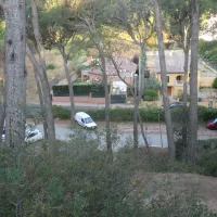 interpals-platja-de-pals-playa-de-pals-dkafm