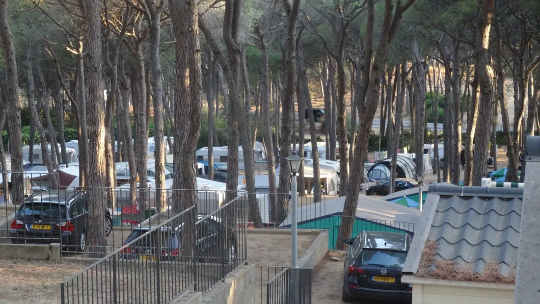 interpals-platja-de-pals-playa-de-pals-iepnq