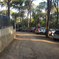 interpals-platja-de-pals-playa-de-pals-s7op0