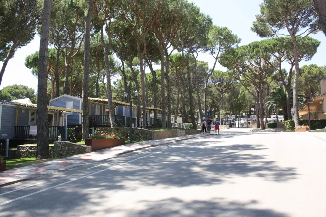 interpals-platja-de-pals-playa-de-pals-xsgz1