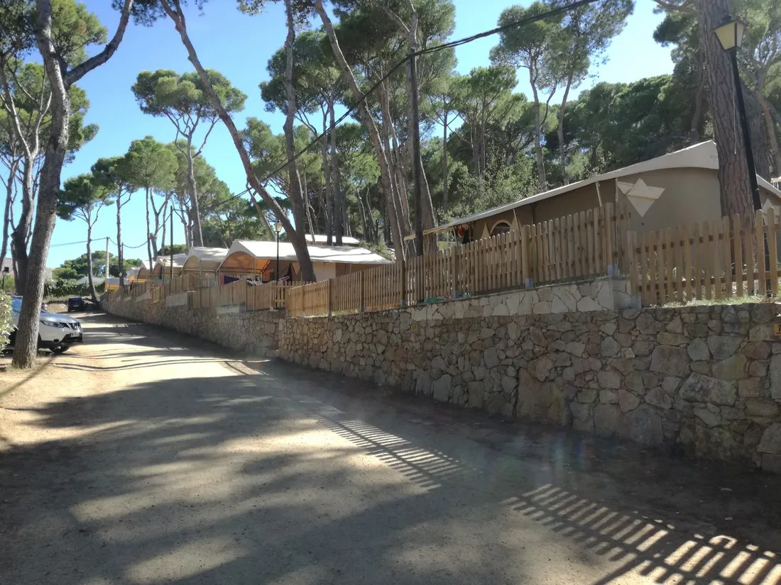 interpals-platja-de-pals-playa-de-pals-ymq15