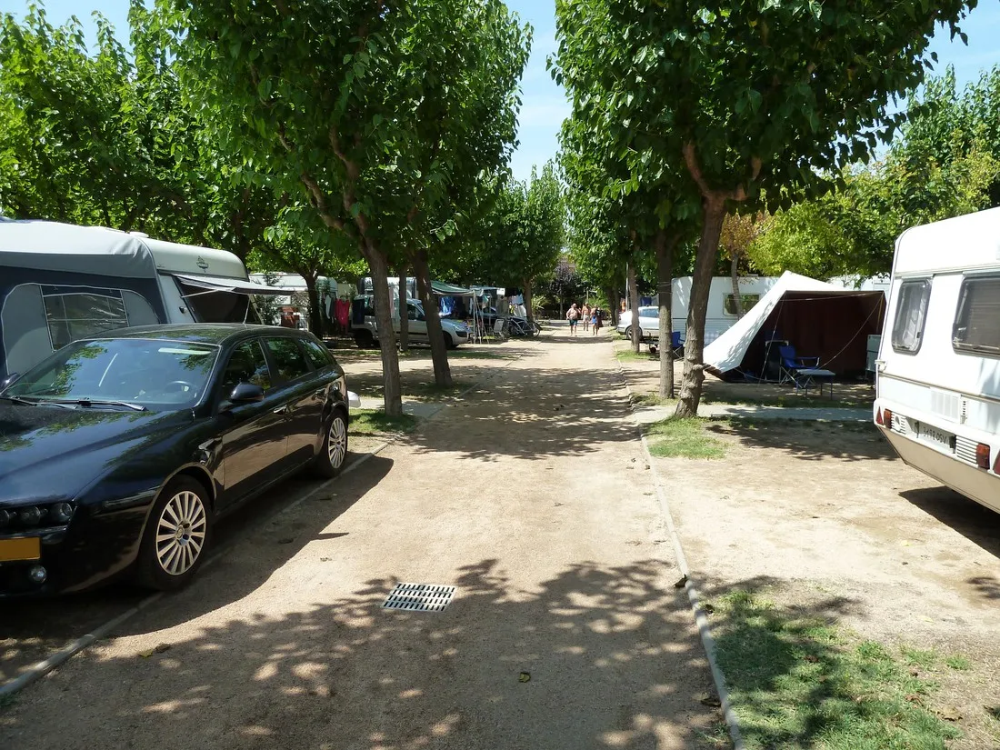 les-medes-lestartit-bfapi