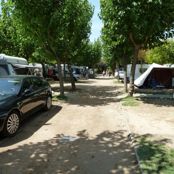 les-medes-lestartit-bfapi