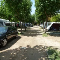 les-medes-lestartit-bfapi
