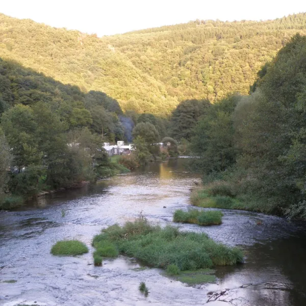 zur-muhle-gemund-eifel-8osnz