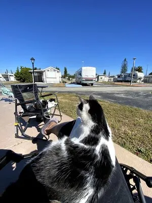 encore-breezy-hill-rv-resort-pompano-beach-g3avd