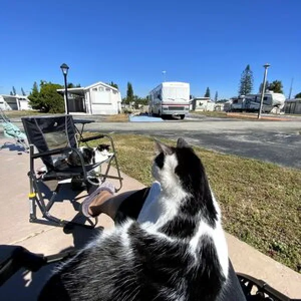 encore-breezy-hill-rv-resort-pompano-beach-g3avd