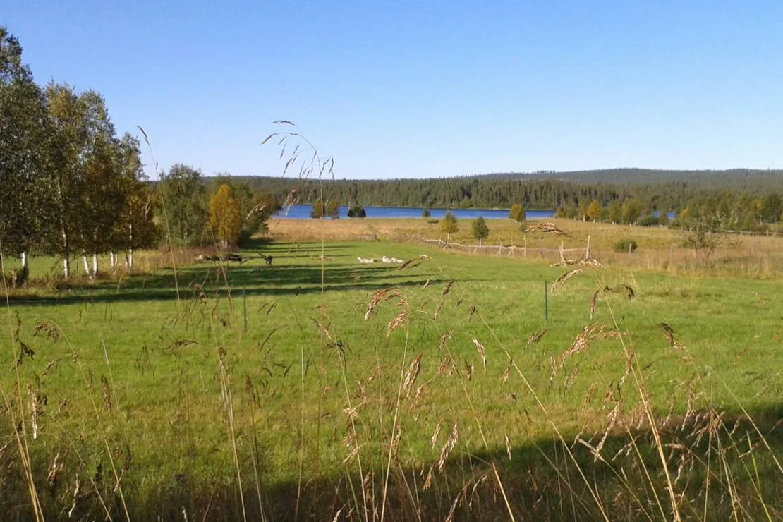 camping-rajamaa-muodoslompolo-5nin7