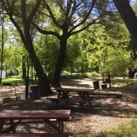 camp-lotus-coloma-aimoj