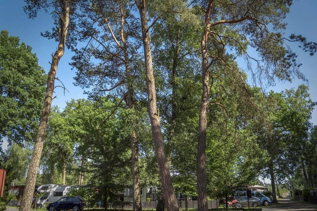 ferienpark-dulmener-see-dulmen-vvrrb